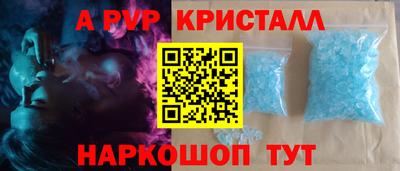 ешки Кингисепп