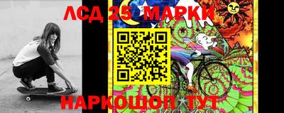 ешки Кингисепп