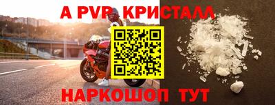 ешки Кингисепп
