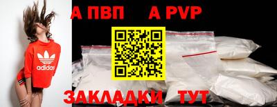 ешки Кингисепп