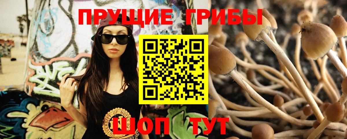 Псилоцибиновые грибы MAGIC MUSHROOMS Корсаков