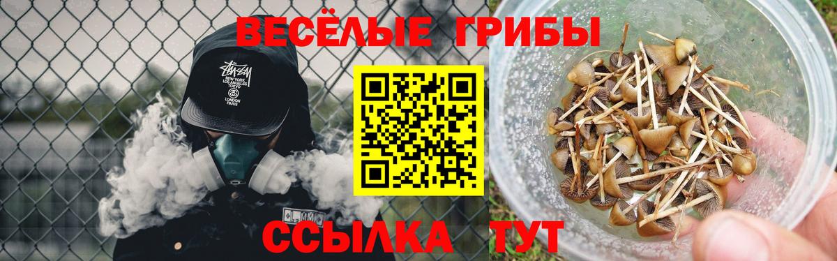 Галлюциногенные грибы MAGIC MUSHROOMS  Вход с VPN  Галлюциногенные грибы Psilocybine cubensis  Корсаков 